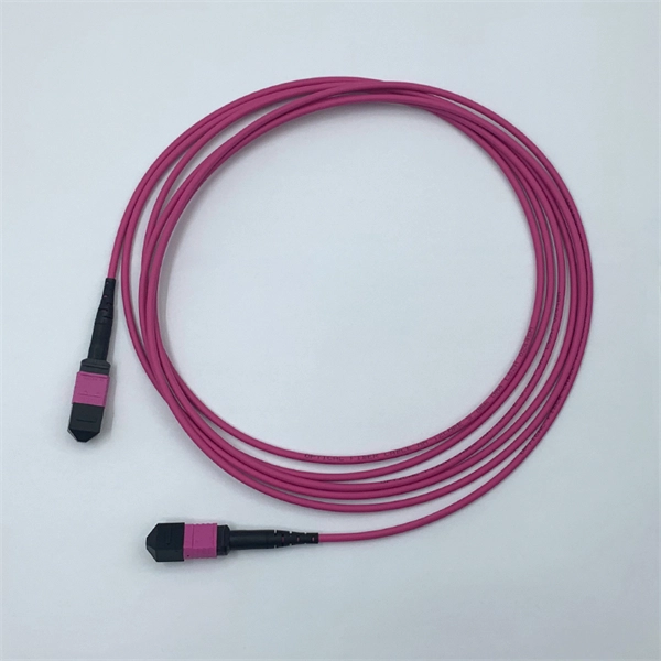 What is a switch optical module 
