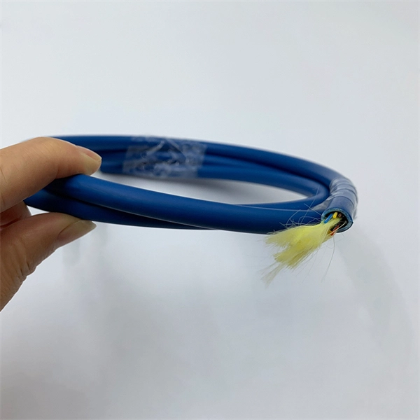 Optical module transmission interference
